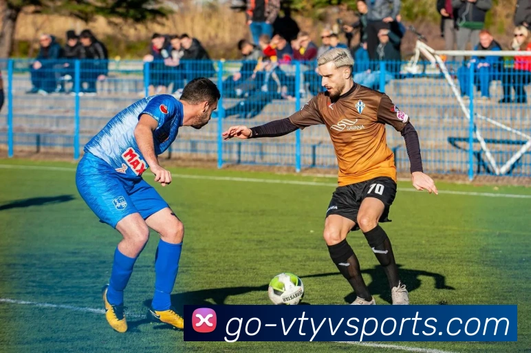 V体育Official Go平台生态图